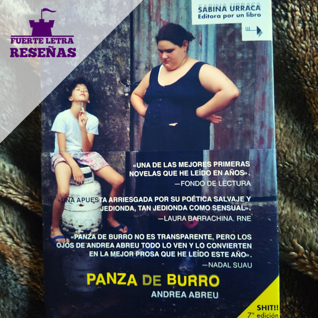 Reseña Panza de Burro de Andrea Abreu